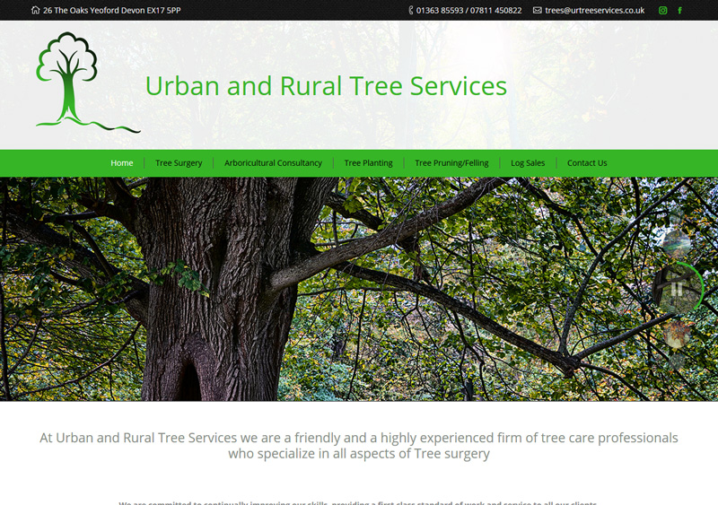 tree-surgeon-devon Tree Surgeon Devon