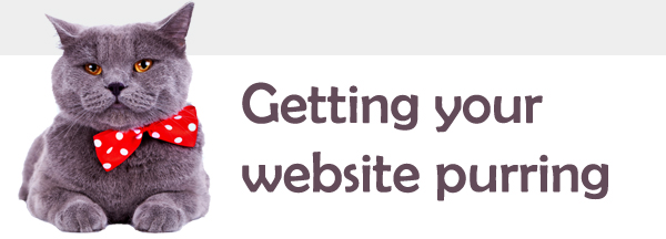 Getting your website purring