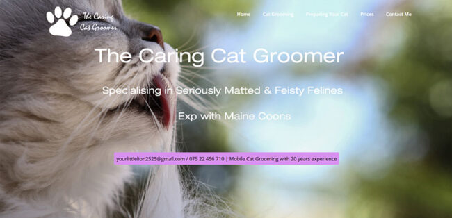 cat-groomer-mobile Cat Groomers near me