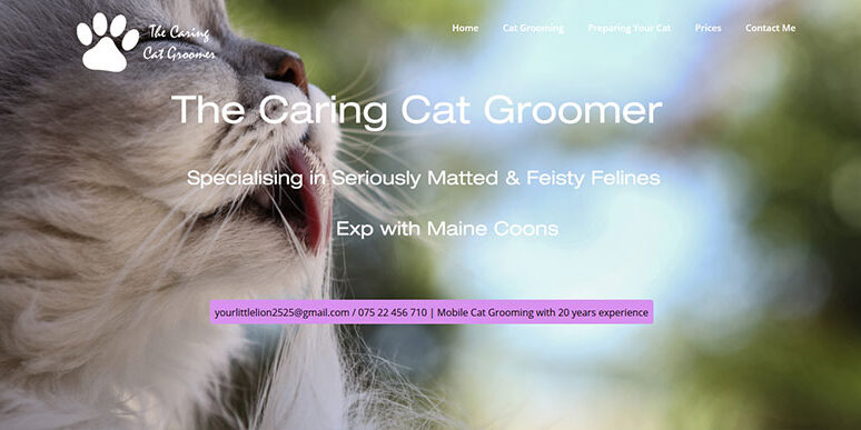 cat-groomer-mobile Cat Groomers near me