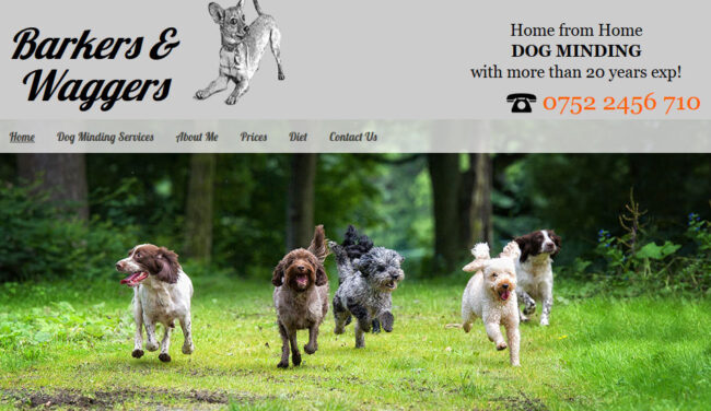 dog-minding-services Dog Sitting Services