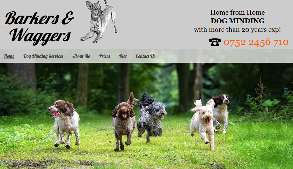 dog-minding-services Dog Sitting Services
