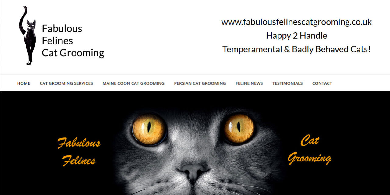 Fabulous Felines Cat Grooming