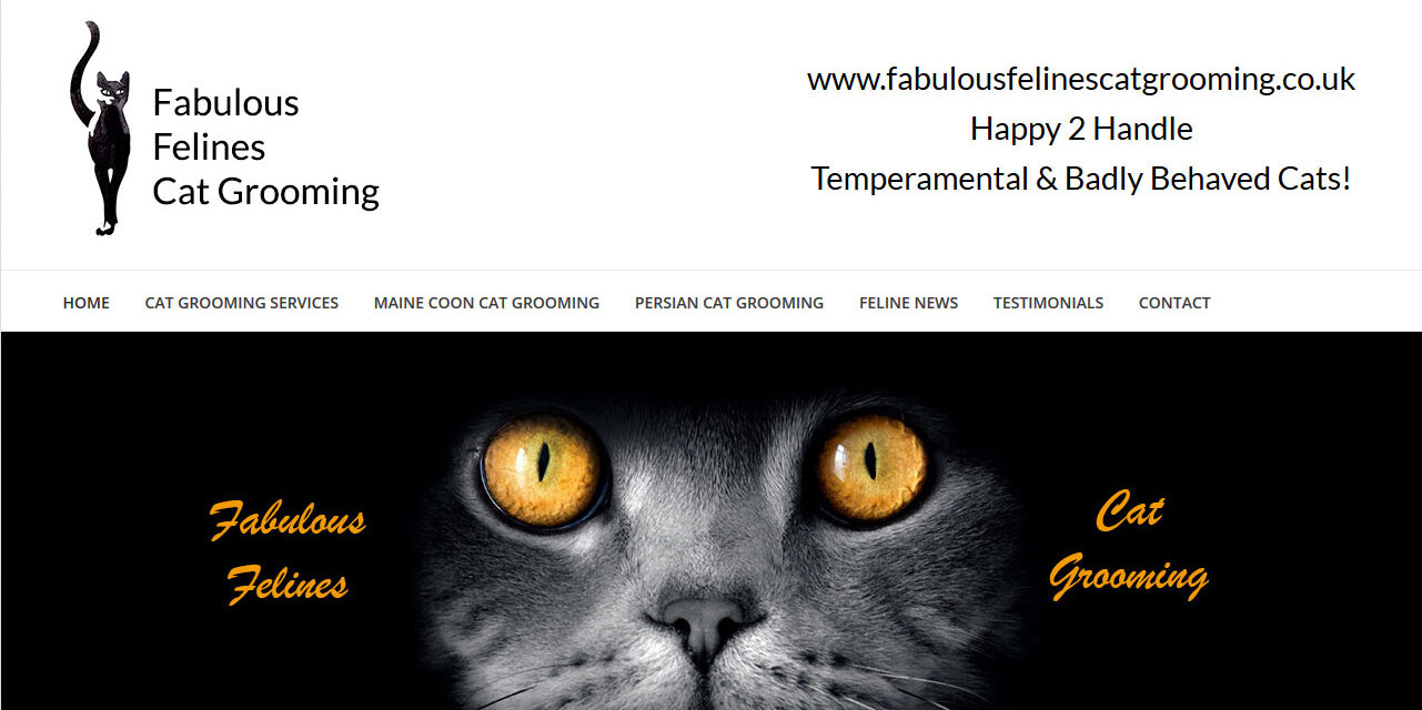 Mobile Cat Groomer in Hertfordshire all cat grooming services to your home