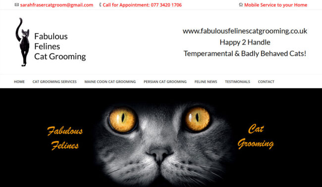 Fabulous Felines Cat Grooming Fabulous Felines Cat Grooming